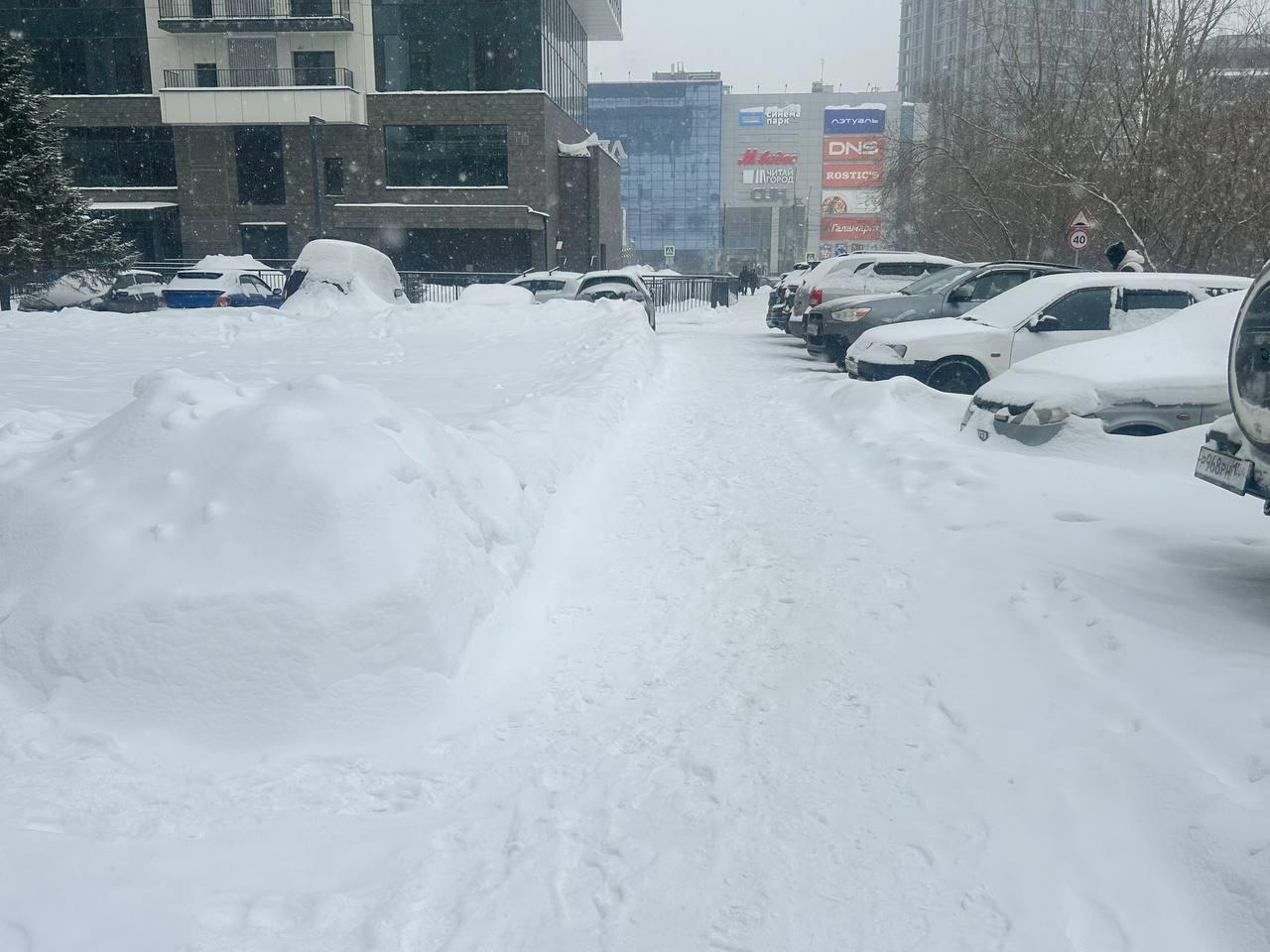 Фото Новосибирск засыпало снегом накануне 40-градусных морозов: 10 кадров аномальной погоды 6